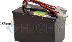 24V 60AH LiFePO4 Electric Forklift Battery review
